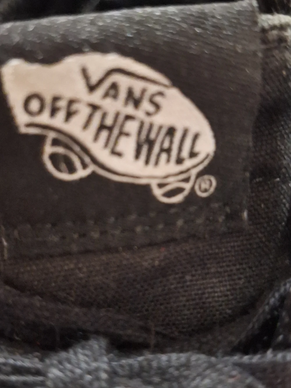 Vans high top